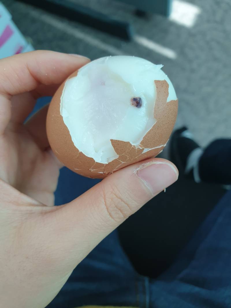 감동란 까다가 이거 나왔어 | 인스티즈