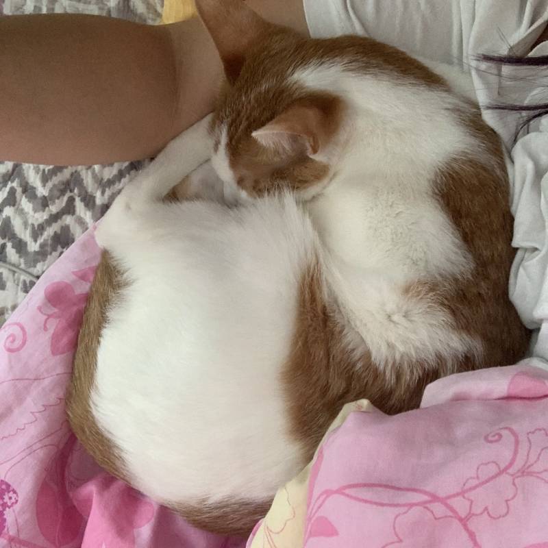 나보다 행복한 사람 있냐 | 인스티즈