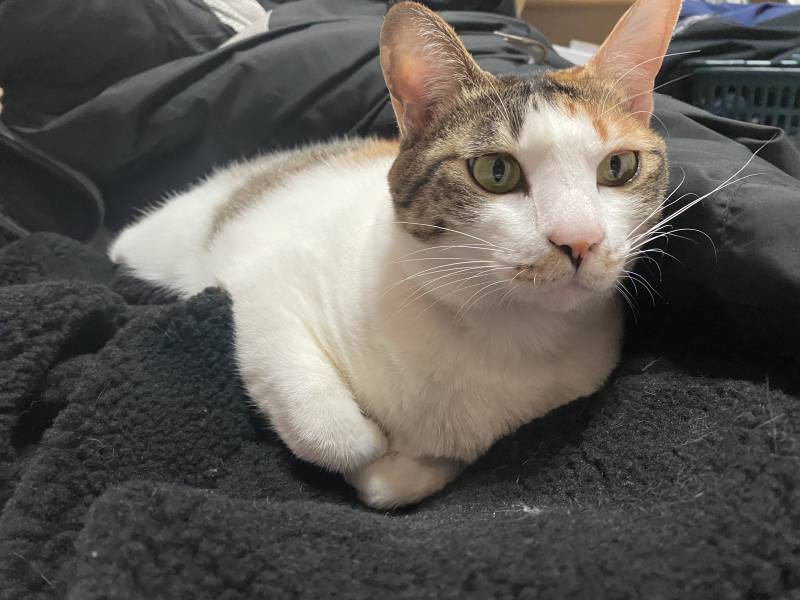 와.. 나방에서 상상도 못한 정체 나와서 뒤로 넘어짐 ㅜㅜ | 인스티즈