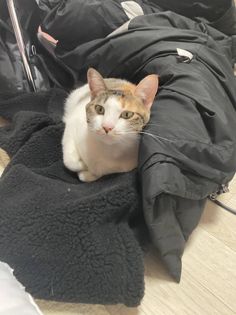 와.. 나방에서 상상도 못한 정체 나와서 뒤로 넘어짐 ㅜㅜ | 인스티즈