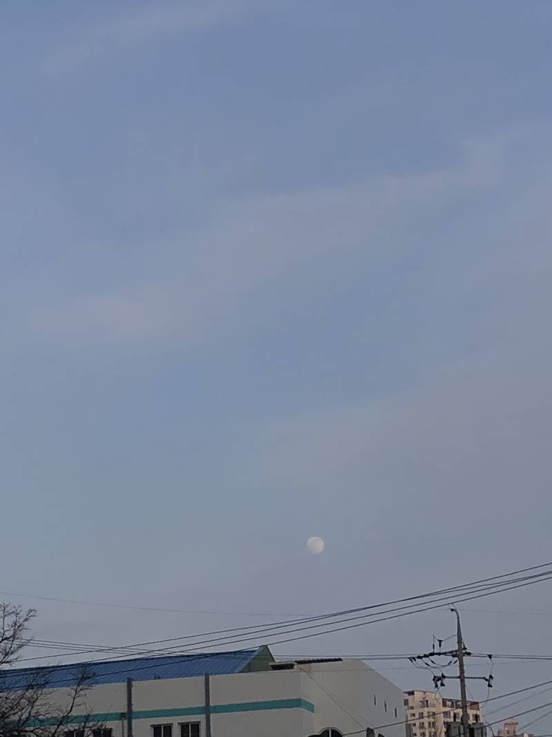 나 달 구름인줄 알았어 | 인스티즈