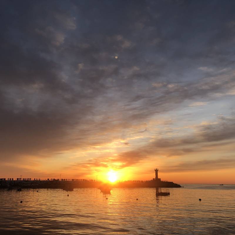 이ㅜㅜ동생 술먹고 방에 똥쌌어.. | 인스티즈