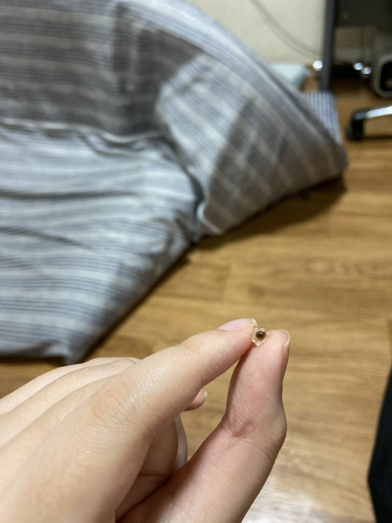 귀 뚫은지 한달됬는데 ㅜㅜ 제발 ㅜㅜ | 인스티즈