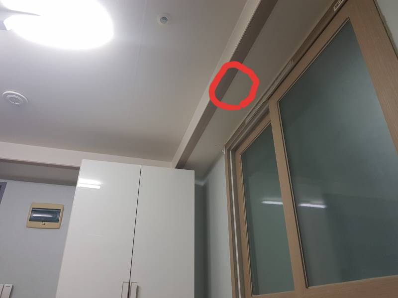 원룸에 쥐가 있는거 같은데 어떻게 해야 하지 | 인스티즈