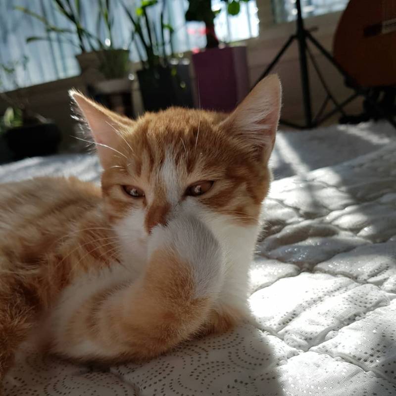 다들 그거 알어? 모르는 익들 진짜 많을 듯 | 인스티즈