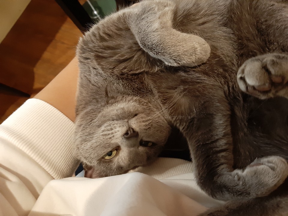 학원 간 동생이 보내준 사진인데 미쳤어 핵귀여워... | 인스티즈