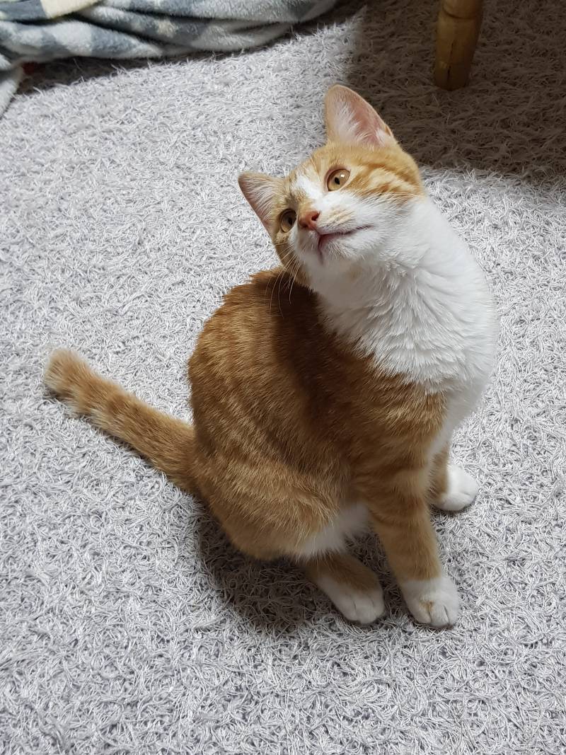 다들 그거 알어? 모르는 익들 진짜 많을 듯 | 인스티즈