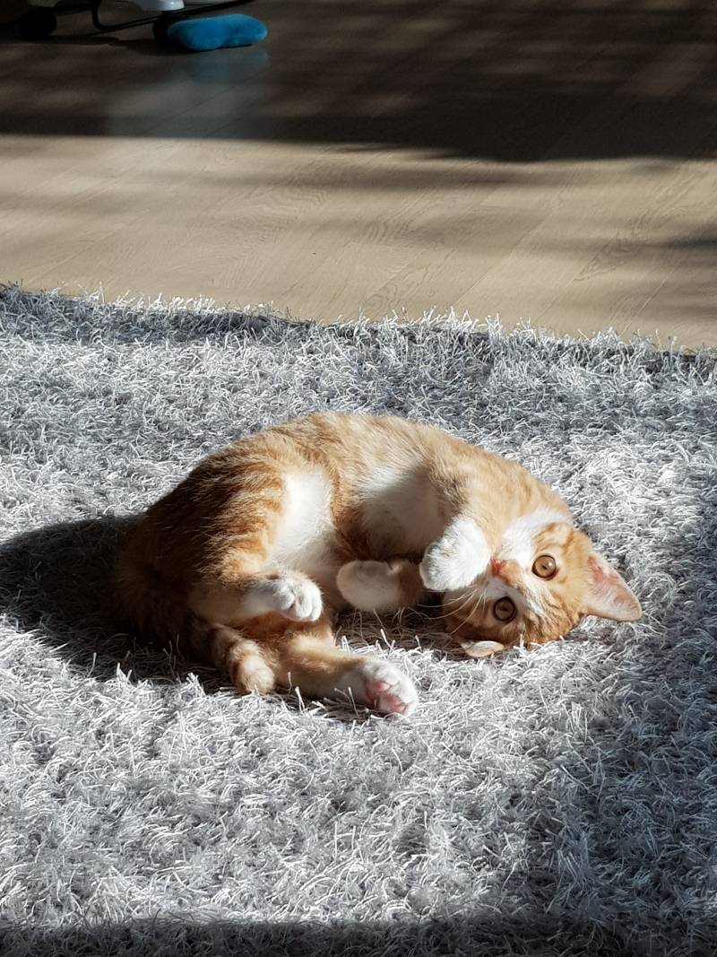 다들 그거 알어? 모르는 익들 진짜 많을 듯 | 인스티즈