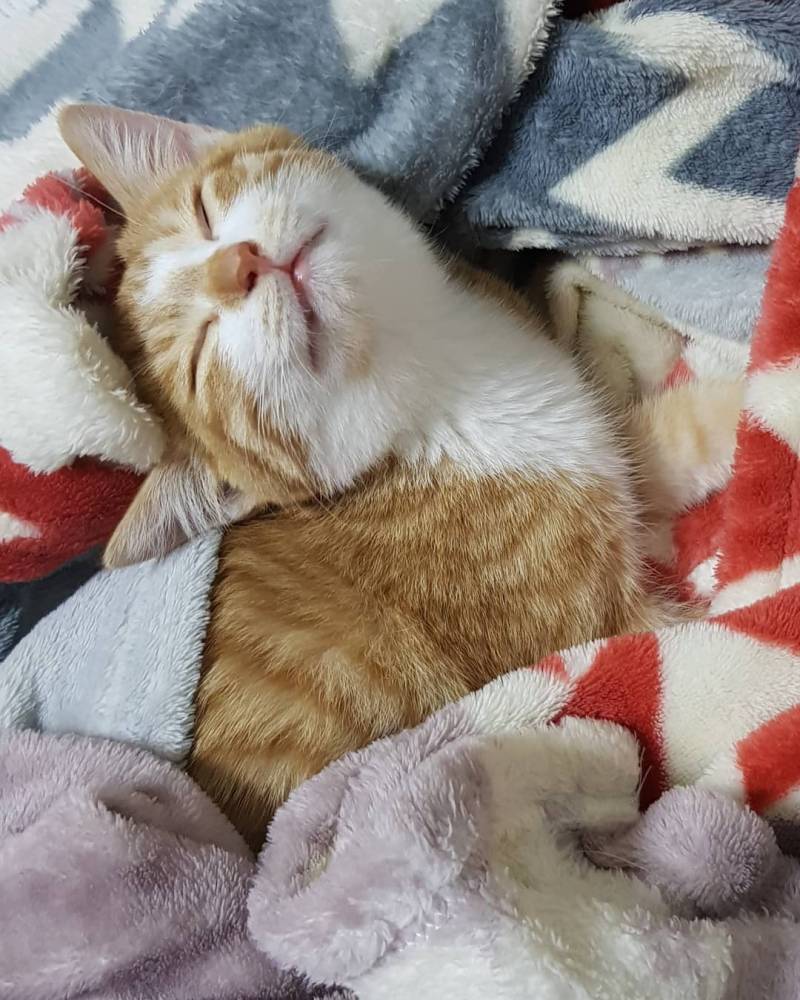 다들 그거 알어? 모르는 익들 진짜 많을 듯 | 인스티즈