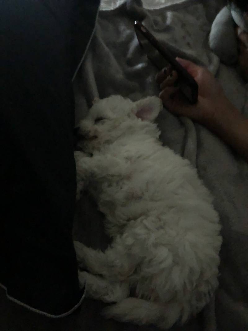 내 동생 내 침대에서 자.. 40 | 인스티즈