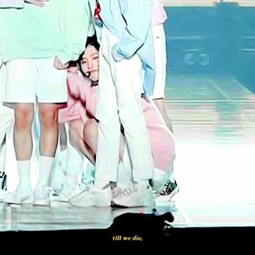 헐 조승연 고양이 아니고 강아지 | 인스티즈