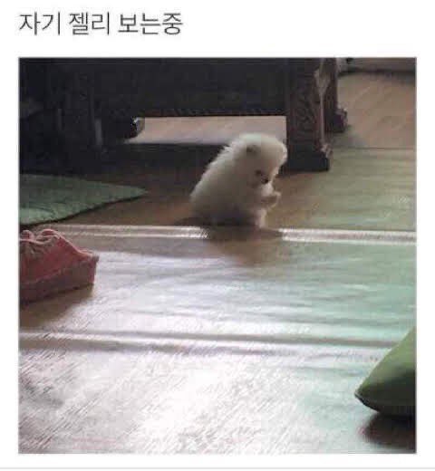 젤리 보는 김우석 입술 너무 귀엽다ㅋㅋㅋㅋㅋㅋ | 인스티즈