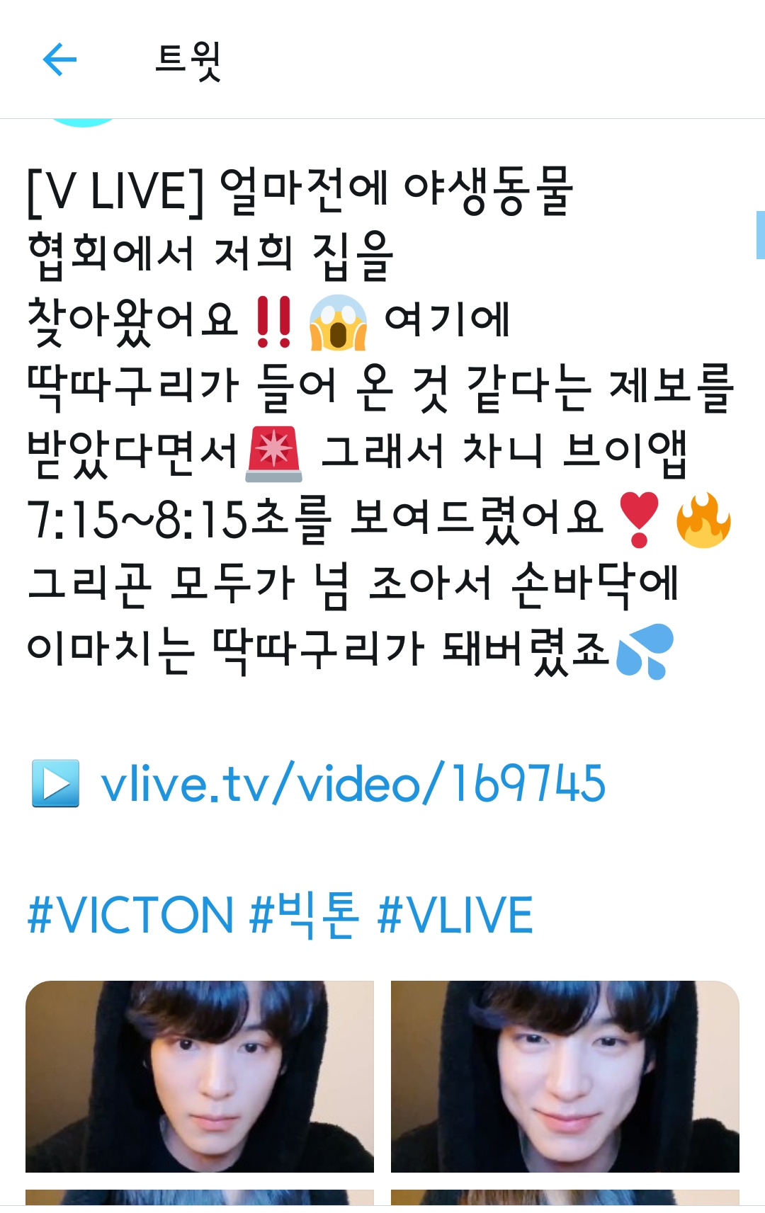 브이앱 빅톤 찬한테 주접 부리는겈ㅋㅋㅋㅋㅋㅋㅋ | 인스티즈