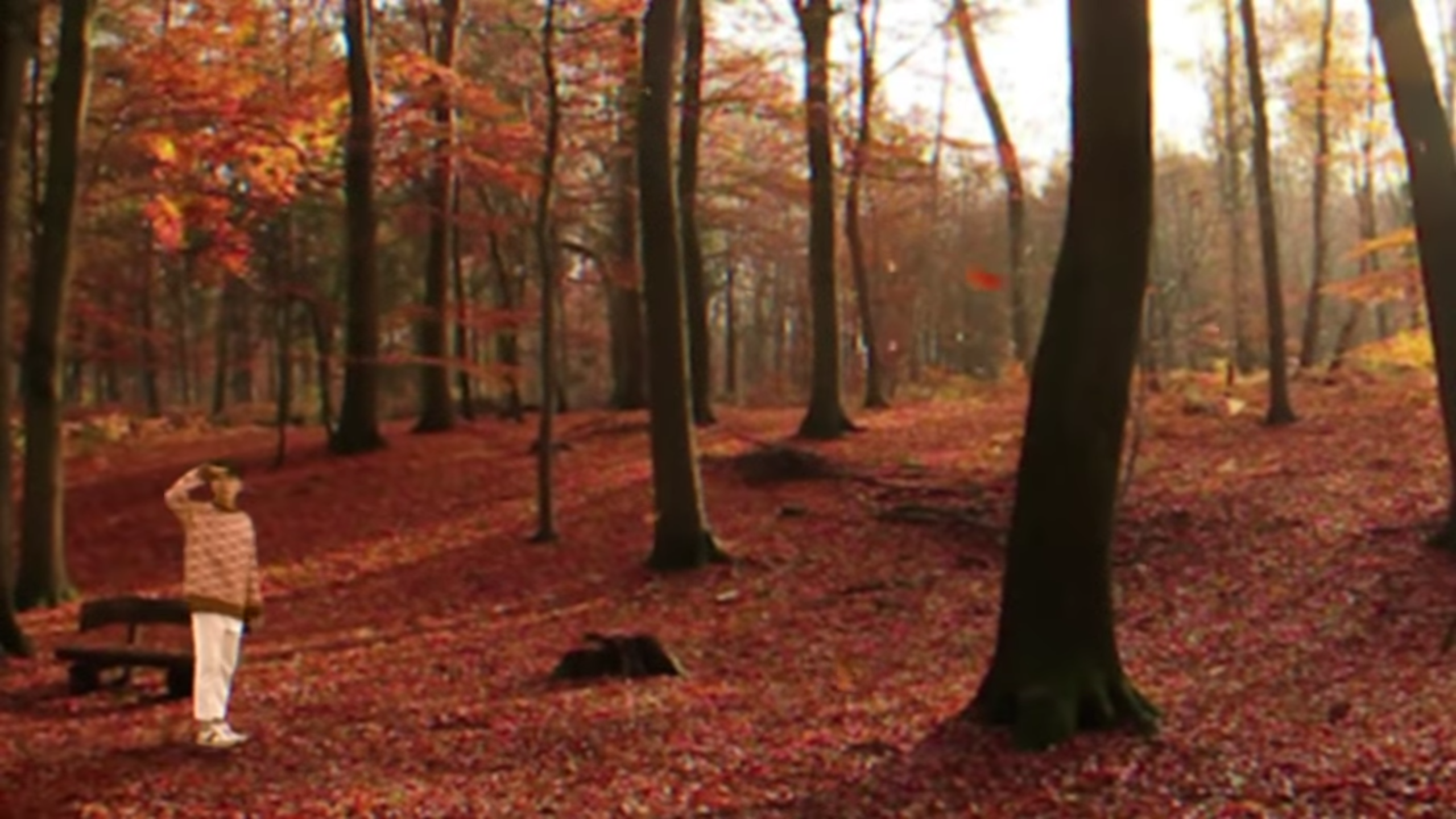 폴킴 이거 왜 이런거야 | 인스티즈