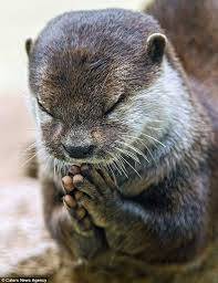 나 이번달 말에 일본 간다!! | 인스티즈