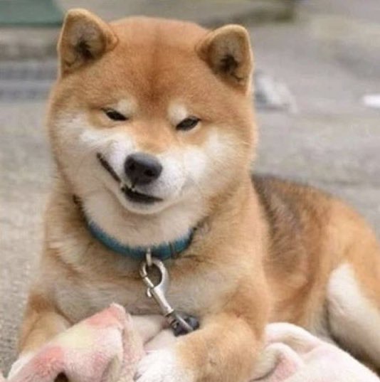 조승연 시바 | 인스티즈