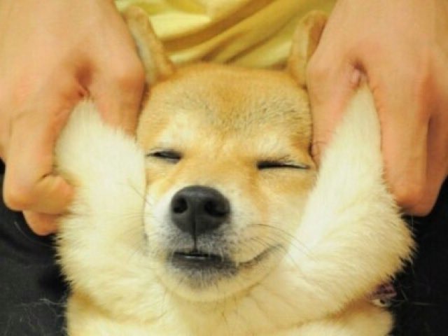 조승연 시바 | 인스티즈