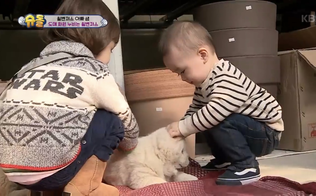 벤틀리 아가야시절 ㅠㅠㅠㅠㅠ | 인스티즈