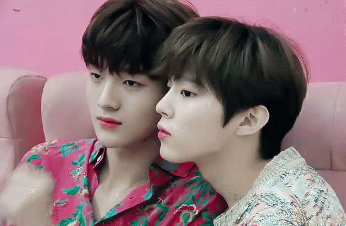 차돌즈 보고싶다 | 인스티즈