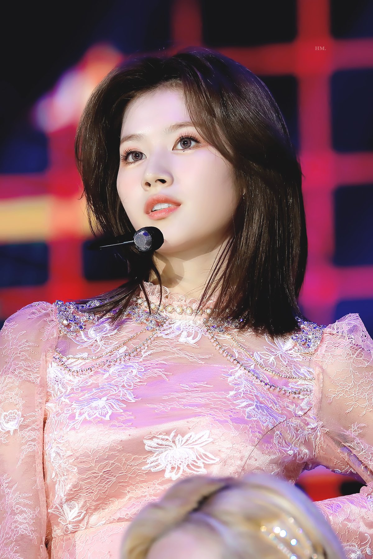 아니 사나 진짜 어쩜 이렇게 사막여우같이 생겼지...... | 인스티즈