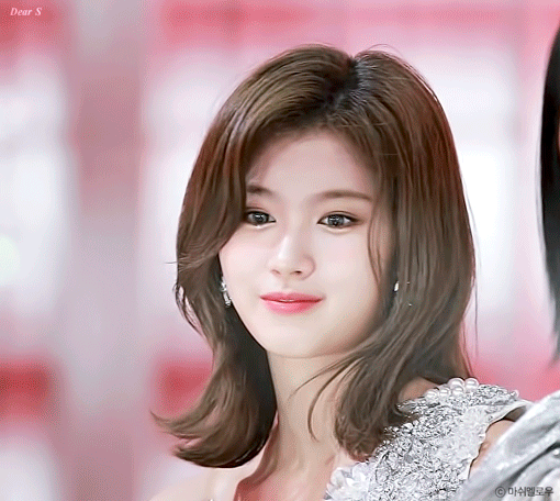 아니 사나 진짜 어쩜 이렇게 사막여우같이 생겼지...... | 인스티즈