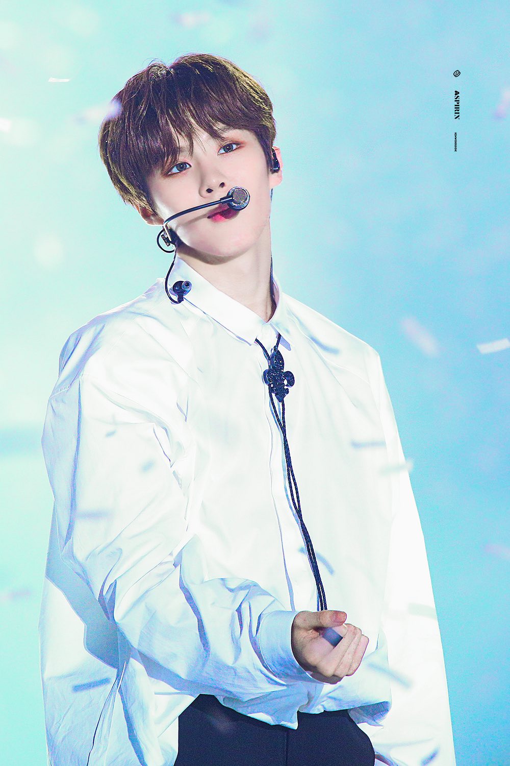 김우석 고양이vs사슴 | 인스티즈