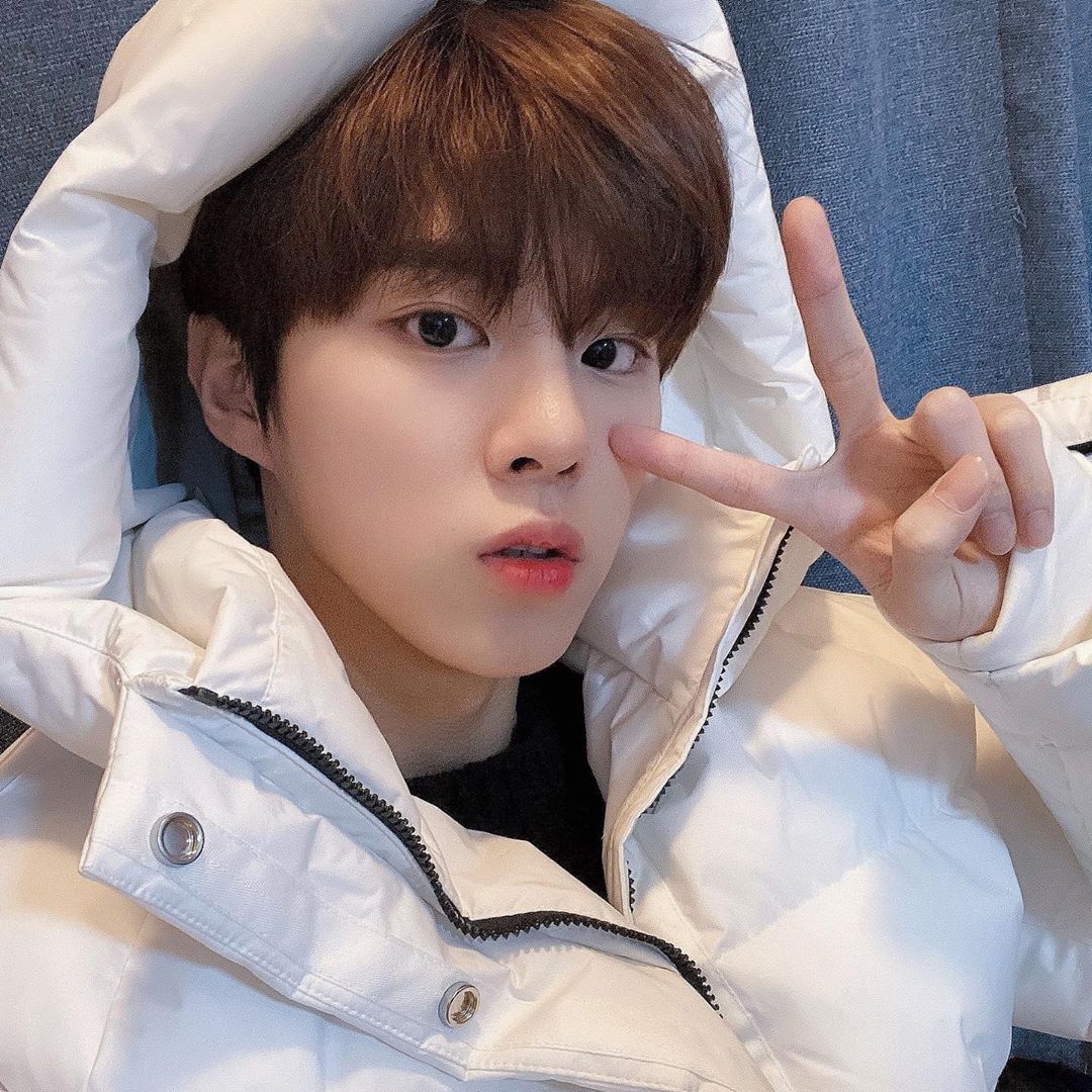 인스타 하는 고양이가 있다며?🙋‍♀️ | 인스티즈