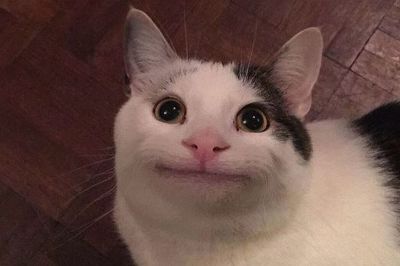 아ㅋㅋㅋㅋㅋ조승연 저 얼굴 왜 익숙한가 했더니ㅋㅋㅋㅋㅋ | 인스티즈