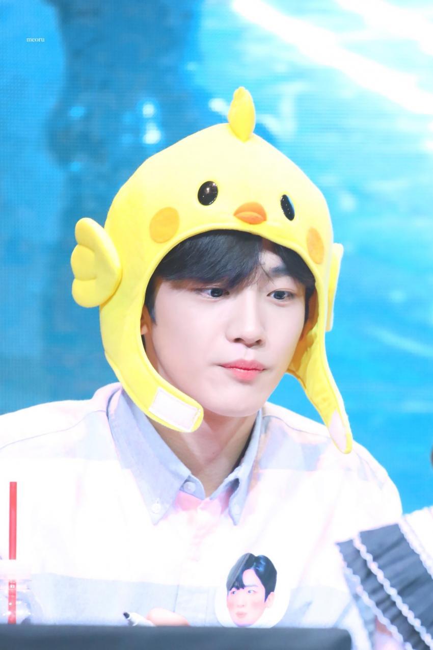 요랑단들아 너네는 김요한 요한이 무슨 단이야?? | 인스티즈