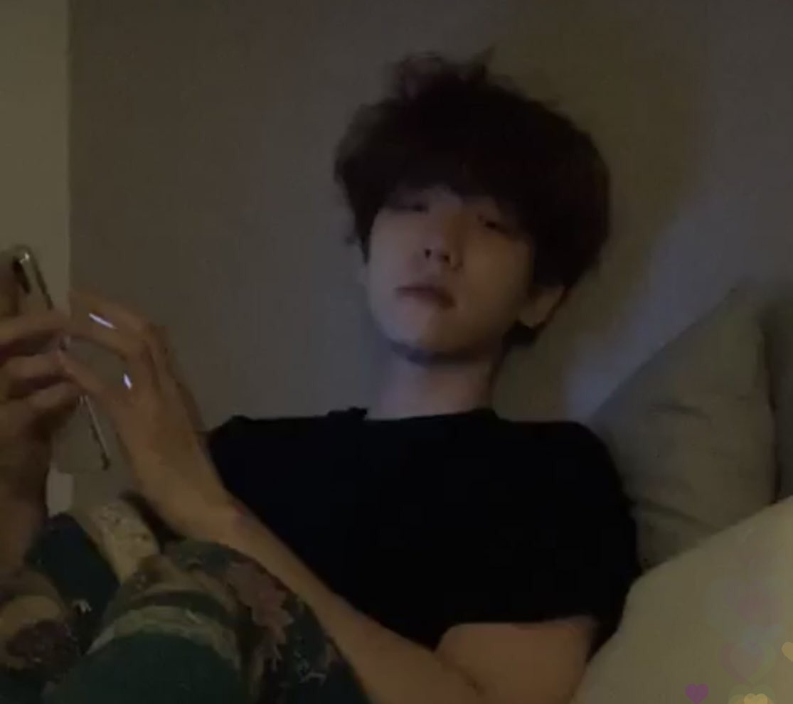 변백현은 진짜 강아지가 전생인거같다 | 인스티즈