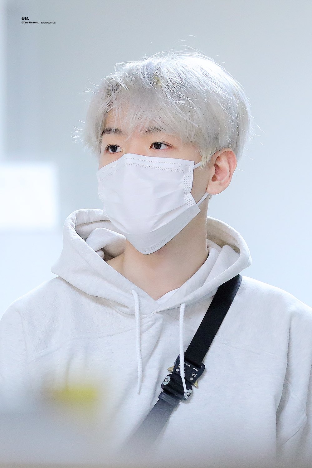 변백현은 진짜 강아지가 전생인거같다 | 인스티즈