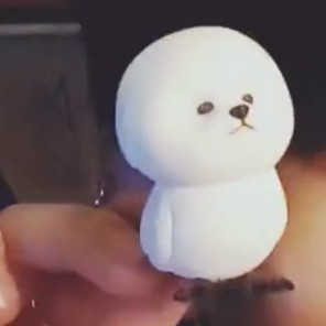 빅톤 수빈이가 자랑한 새&개 피규어 | 인스티즈