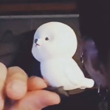 빅톤 수빈이가 자랑한 새&개 피규어 | 인스티즈