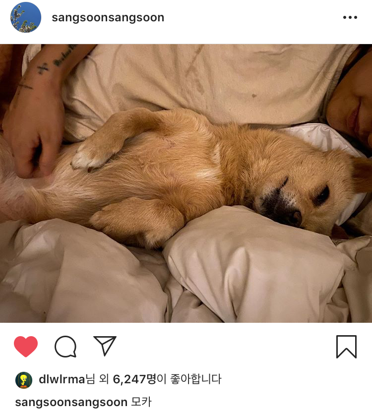 아이유 나온 효민박1 본 사람 있어? | 인스티즈