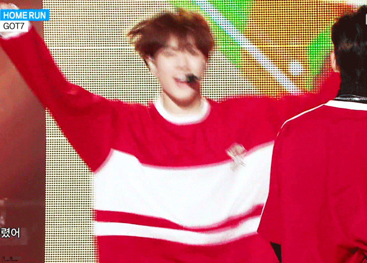 아이돌하는 강아지들 | 인스티즈