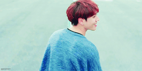 아이돌하는 강아지들 | 인스티즈