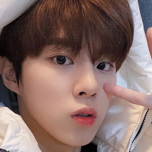 우석아 고양이들은 인스타에 사진올릴때 한번에 4장이상 올려야되는 규칙이있어 | 인스티즈