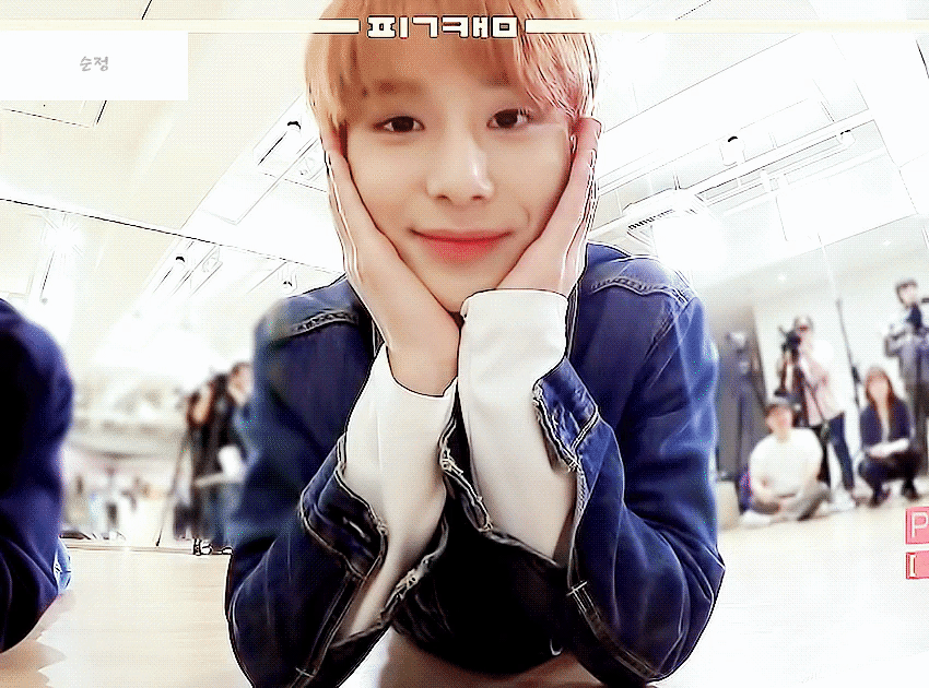 나 요즘 엔시티 정우 찾아보는데 마크가 정우 보고 강아지 같이 귀여울때가 있다 그래서 | 인스티즈