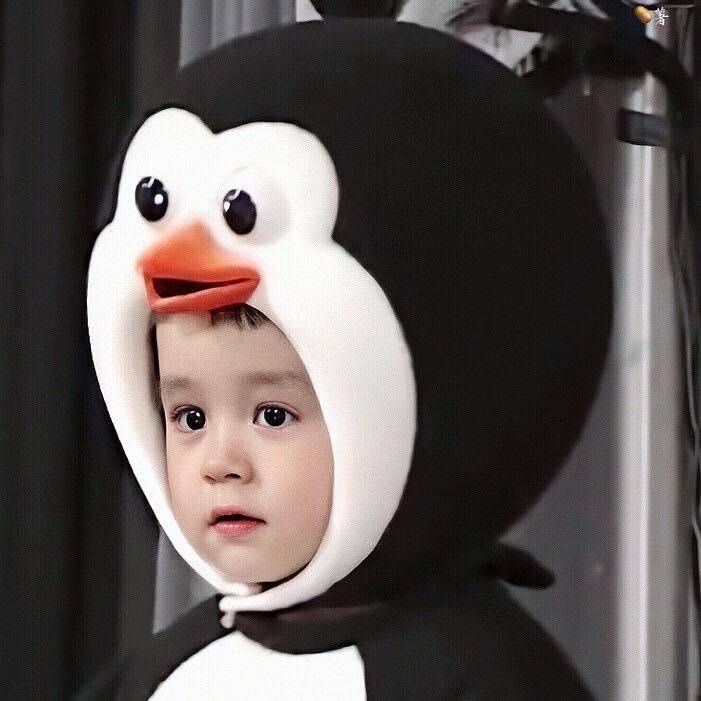 내가 정말 사랑했던 애기들 ... ㅜㅜㅠㅠ 퓨ㅠㅠㅠㅠㅠ | 인스티즈