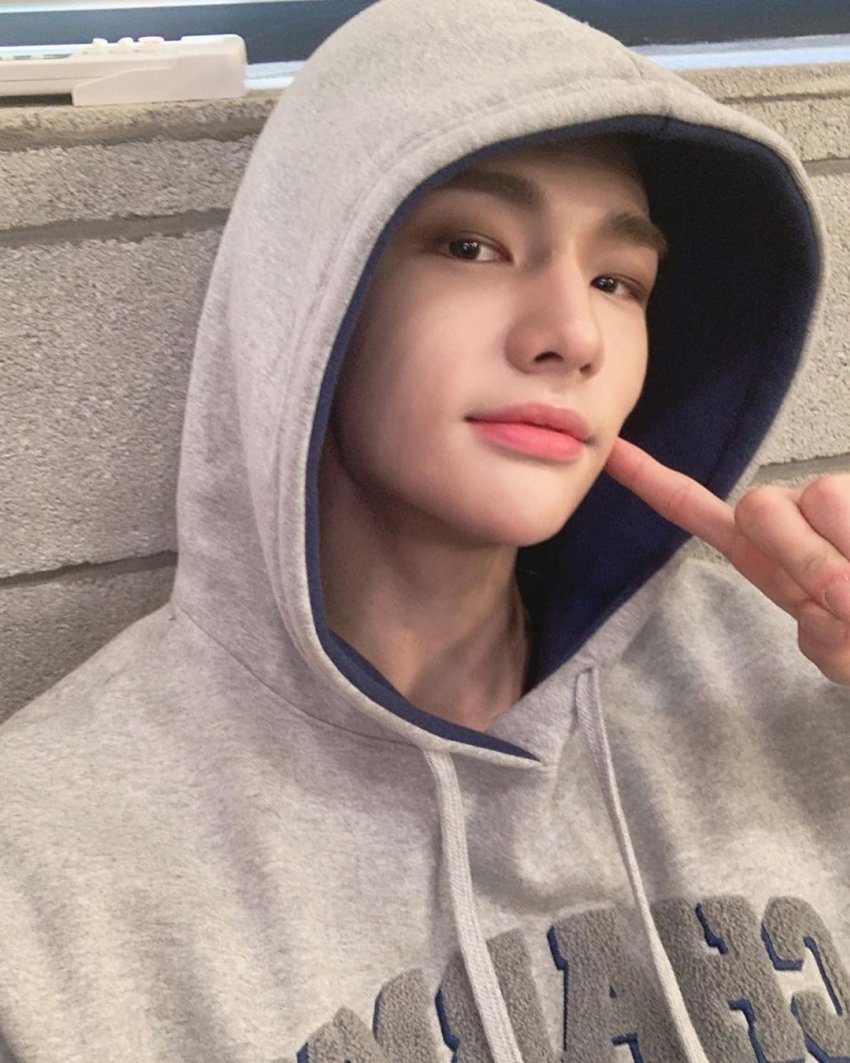 와 진짜 얼굴 최고다 그냥 후드티 입었는데 루브르에 전화해야할거같음 | 인스티즈