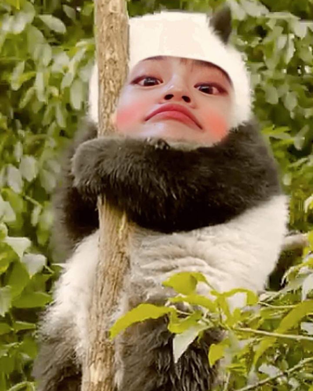 도대체 이런 필터는 어디에 있는거야?ㅋㅋㅋㅋㅋㅋ | 인스티즈