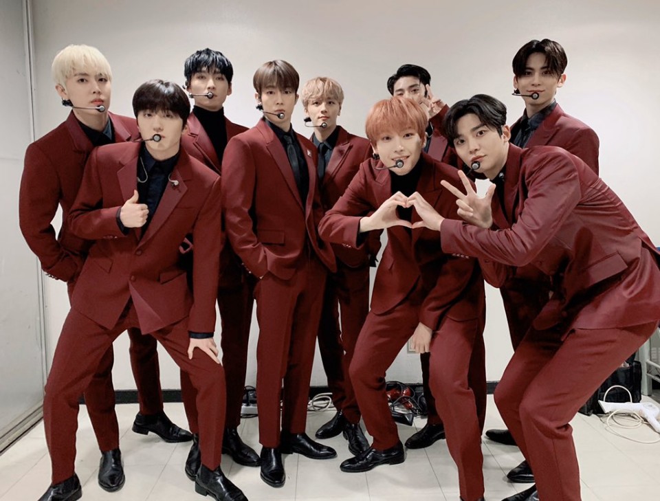 솜털이들 모여봐🌬 | 인스티즈