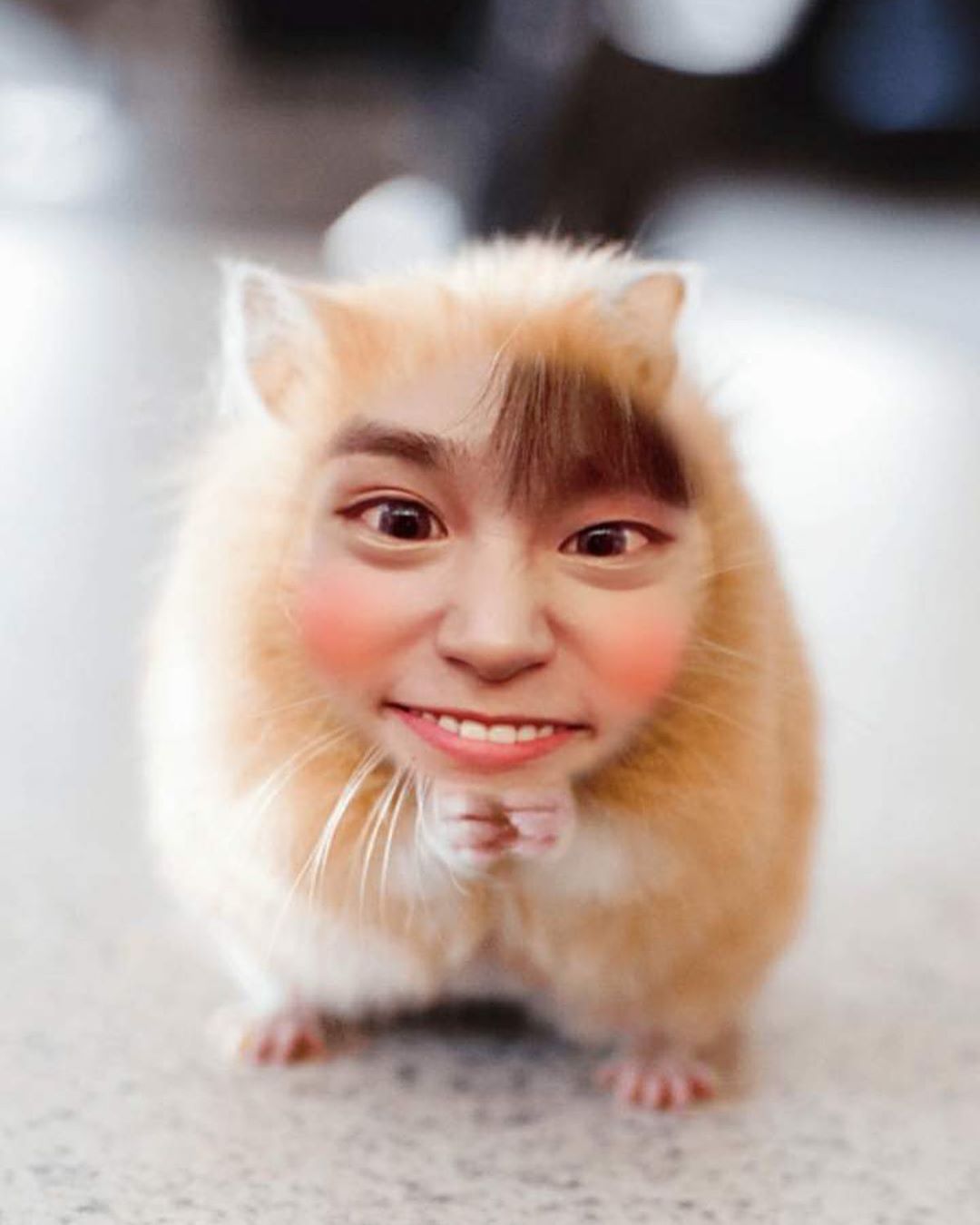 도대체 이런 필터는 어디에 있는거야?ㅋㅋㅋㅋㅋㅋ | 인스티즈