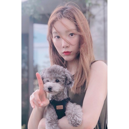 아이돌들의 반려견❤ | 인스티즈