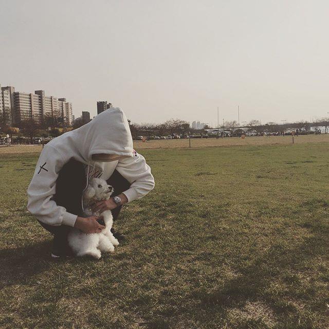 아이돌들의 반려견❤ | 인스티즈