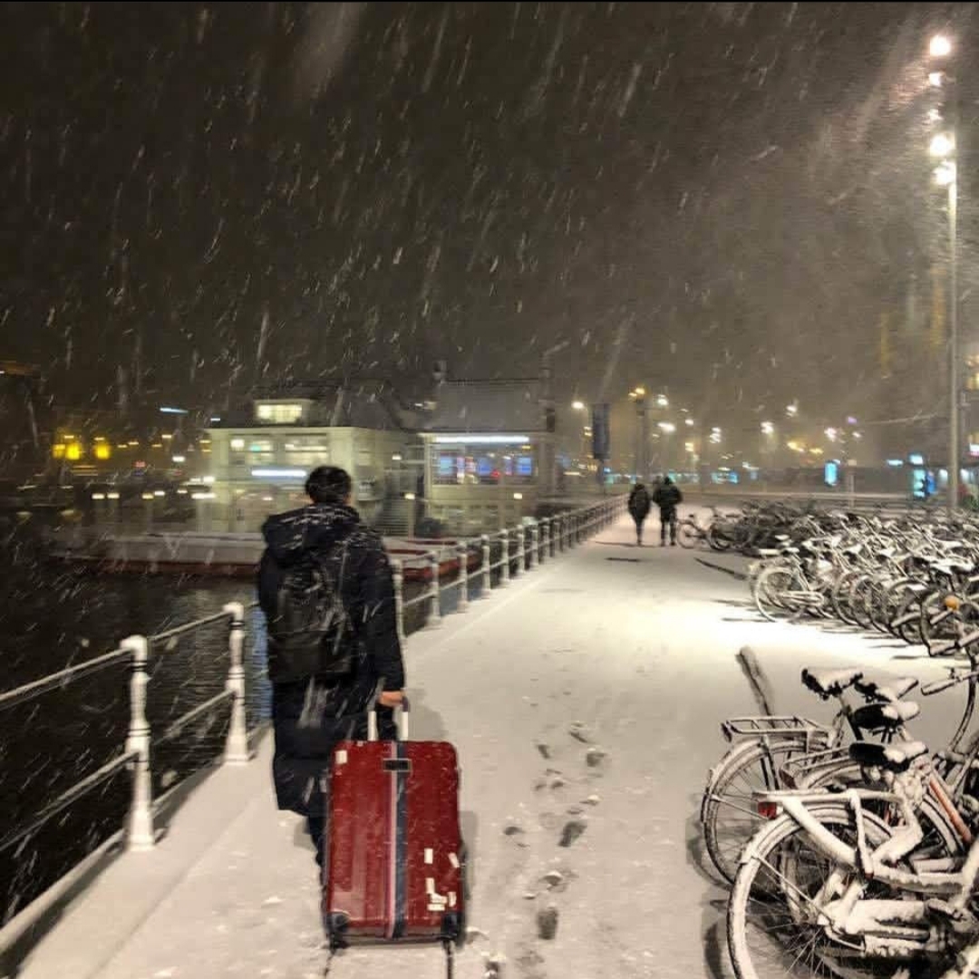 데이식스 남친짤 or 일코짤 | 인스티즈