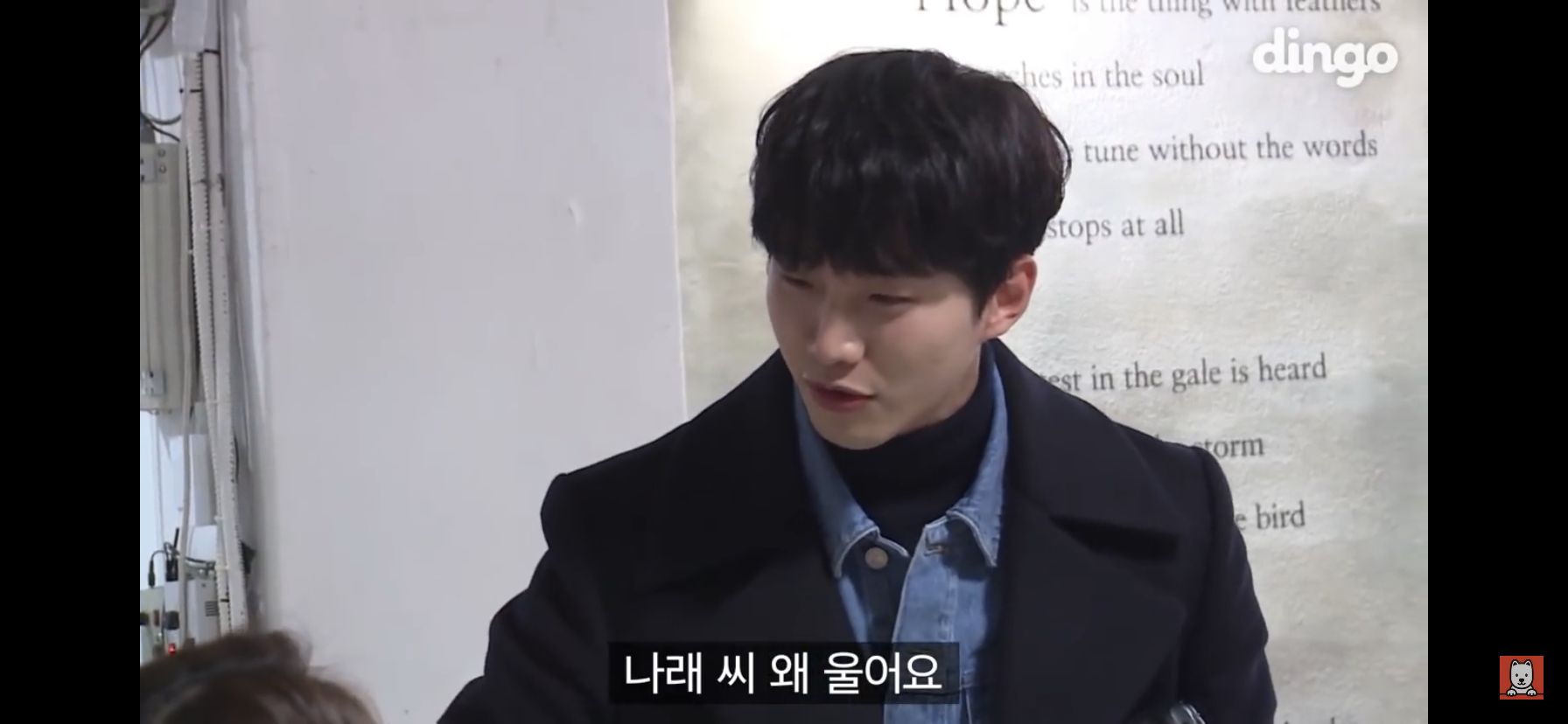 다들 우리집준호 보고 이거까지 보는거 안다 | 인스티즈