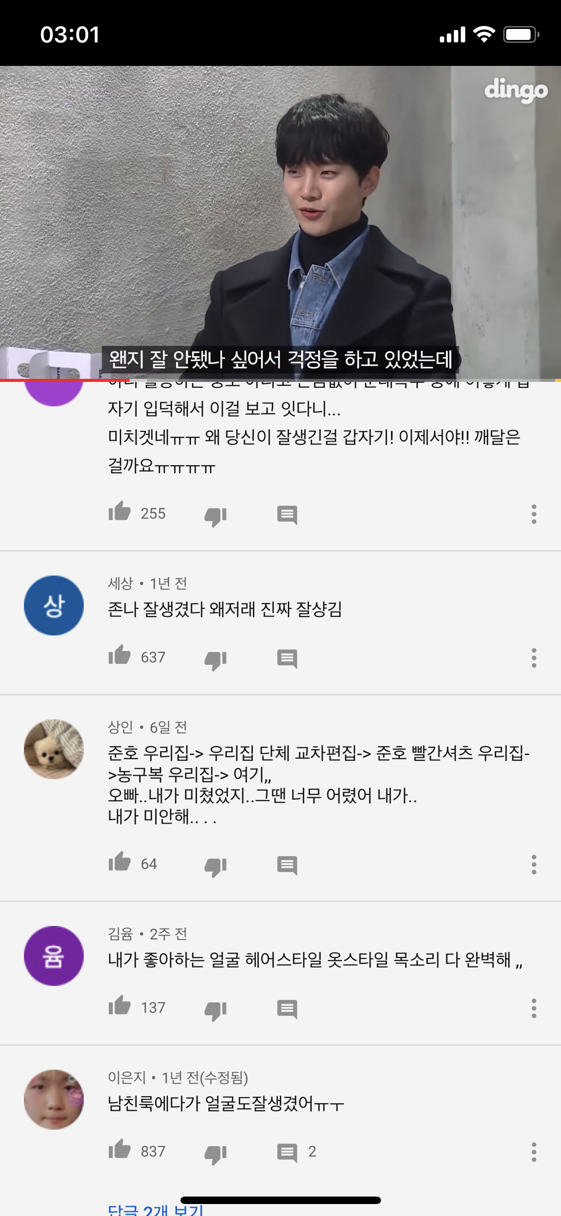 준호 딩고 댓글 이거 뻘하게 웃기다 | 인스티즈