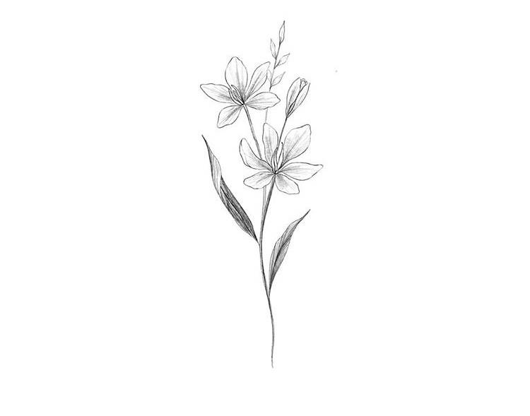 타투 가격 어떤것같아 ? | 인스티즈