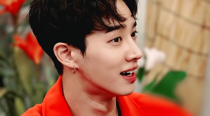 내본진 보고싶다.. | 인스티즈